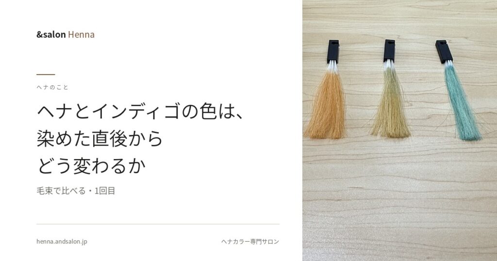 ヘナとインディゴの色は、染めた直後からどう変わるか【毛束で比べる・1回目】